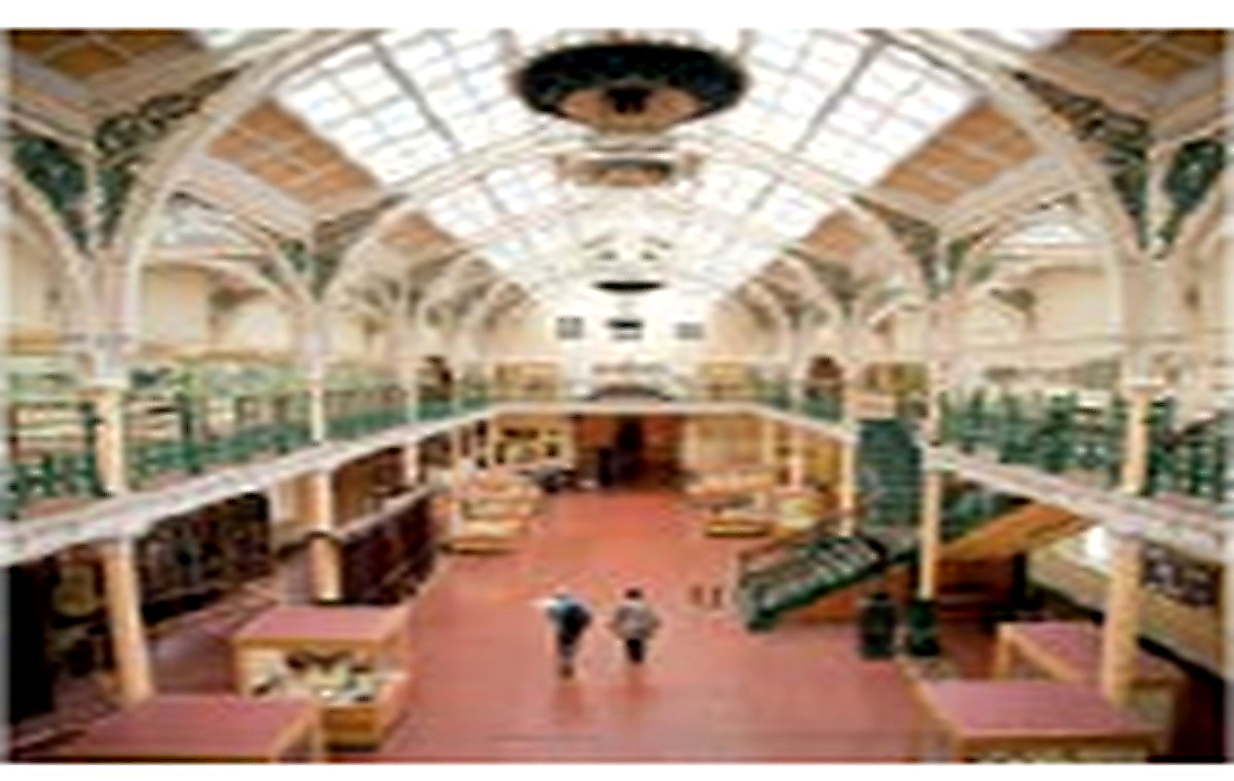 Birmingham kültür ve sanat